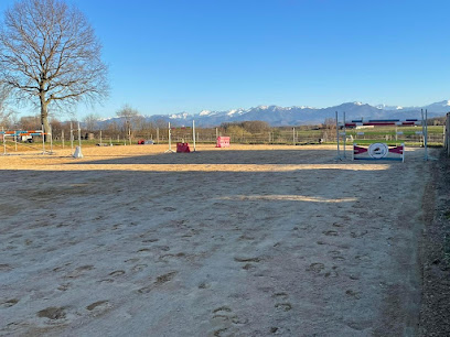 Ecurie Escudaria De La Carrau, Pension Pour Chevaux à Saint-Plancard