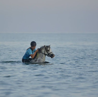 Ranch de Rospico, Centre Equestres à Névez