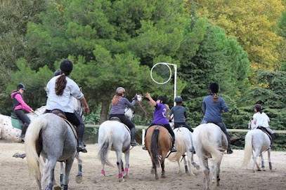 Centre Equestre De Mirepeisset, Centre Equestres à Mirepeisset