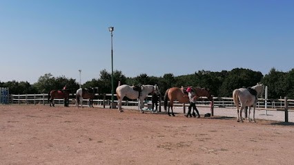 Poney Club De La Vie, Equestrian Center And Pony Club En Vendée, Centre Equestres au Poiré-sur-Vie