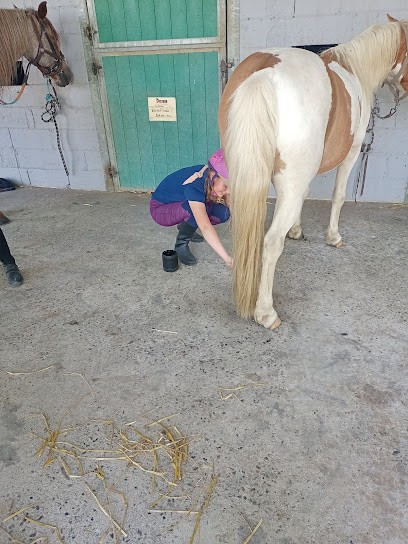 LES ECURIES DU ROCHER, Centre Equestres à Sainte-Croix