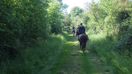 Galop Vert Centre Équestre à Châtillon-Coligny
