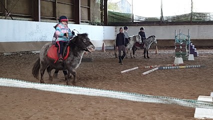 Stud Des L - Equitation, Centre Equestres à Cugand