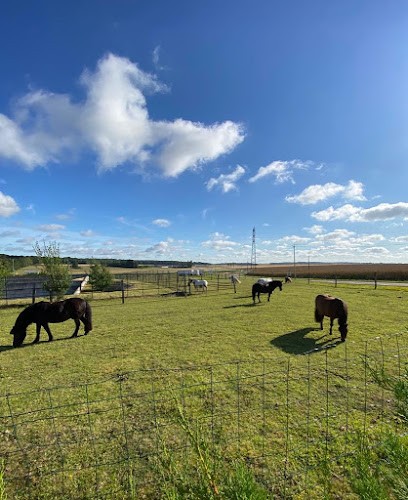 Les écuries de Montmirail, Centre Equestres à Montmirail