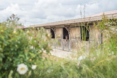 Favi Equitation, Centre Equestres à Puylaurens