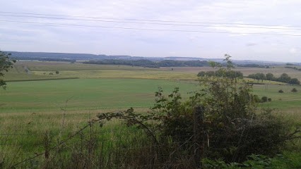 Ecurie Delorme, Centre Equestres à Lunéville