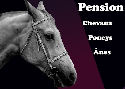 Nativelle Damien, Pension pour Chevaux à Rots