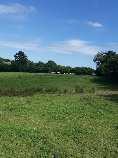 Earl Stud De Moyon, Centre Equestres à Moyon Villages
