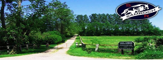 Haras De Samroch, Pension pour Chevaux à Surville