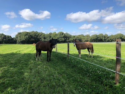 Ecurie du Breil, Centre Equestres à Sion-les-Mines