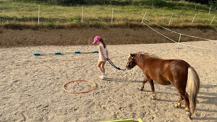 Ecole Of Ponies Joyeux, Centre Equestres à Meilhan-sur-Garonne