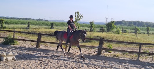 Les Écuries De Captain'brown, Centre Equestres à Neuilly-en-Thelle