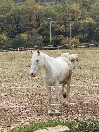 Centre Equestre Country Club, Centre Equestres à Millau