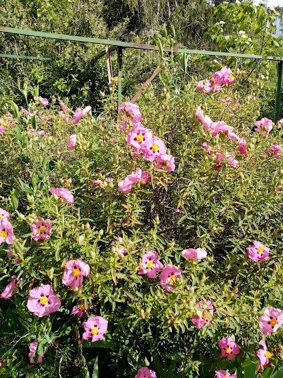 Cavaliers Des Étoiles, Centre Equestres à Dun