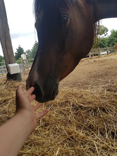 Maubec Jean, Centre Equestres à Porcaro