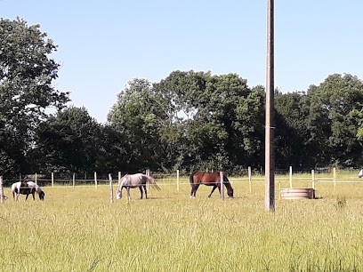 CENTRE EQUESTRE DE LA POMMERAYE, Centre Equestres à Mauges-sur-Loire