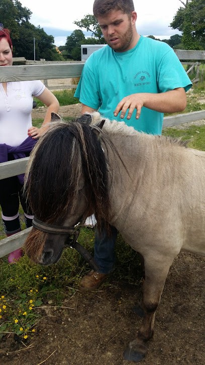 Monitrice Garcia Cynthia, Centre Equestres à Donges