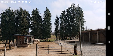 Pont Quellec Pension Equestrian, Pension pour Chevaux à Colpo