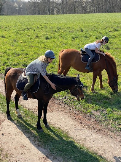 Gouletterie équitation, Pension pour Chevaux à Thorée-les-Pins