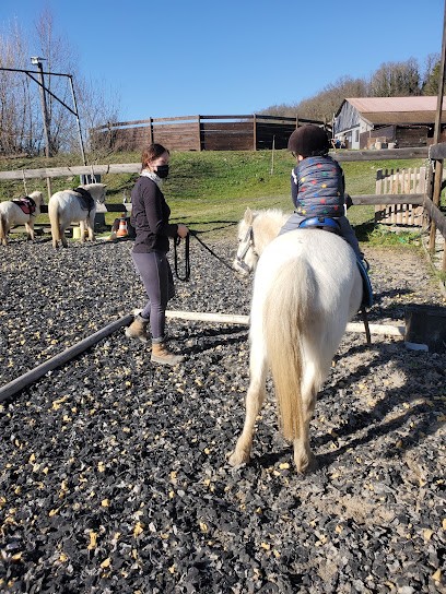 Écurie De Rigneux Le Franc, Centre Equestres à Rignieux-le-Franc