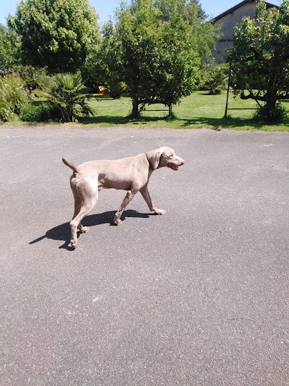 Benon Nathalie Bernadette, Centre Equestres à Rivières