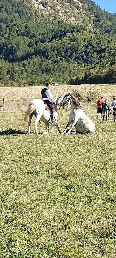La Mini ferme du Ventoux des ecuries de Bacchus, Centre Equestres à Reilhanette