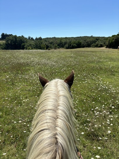 Terre a Cheval, Centre Equestres à Issirac