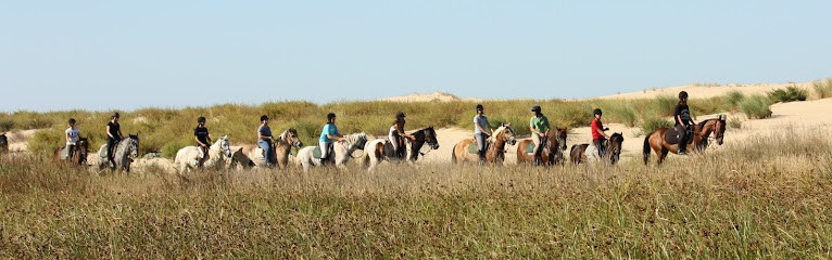 Poney Découverte, Centre Equestres aux Mathes