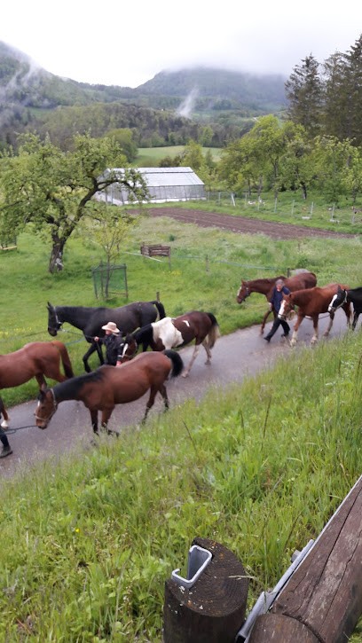 FERME EQUESTRE ZUM BLAUE, Centre Equestres à Kiffis