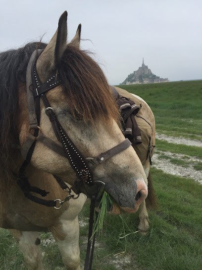 Les Crinières De La Baie: Pension équestre. Gite De Groupe Et De Cavaliers, Pension pour Chevaux à Saint-Broladre
