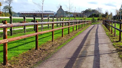 Haras Des TRINGALLES, Pension pour Chevaux à La Folie