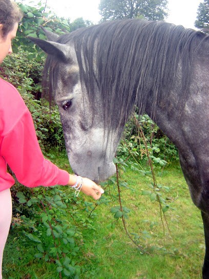 Balade Cheval Sport & Bien-être - Fabienne Augareils - Vallée D'Ossau 64, Centre Equestres à Sainte-Colome