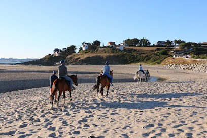 La Cavalerie D'andrea, Centre Equestres à Saint-Pair-sur-Mer