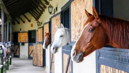 Delmas Audrey, Pension pour Chevaux au Castéra