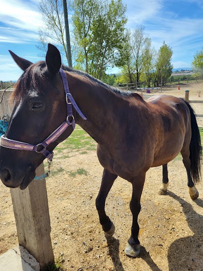 Ecurie Dan Crys, Centre Equestres à Orliénas