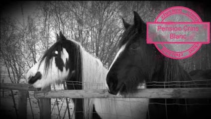 Pension Crins Blanc, Pension pour Chevaux à Méhers