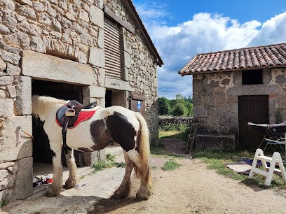 Merigaud Horseclub, Centre Equestres à Saint-Estèphe