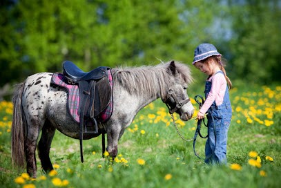 ECURIES DE VAUNAVAL, Centre Equestres au Lude
