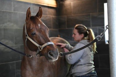 Horsekea | Center Balneotherapy For Horses - Fitness Pour Chevaux, Centre Equestres à Lumbin