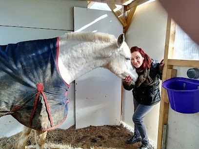 Centre Equestre Poney Village, Equitation Du Grand Rodez, Centre Equestres à Onet-le-Château