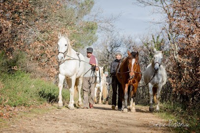 Gina Pitti, Centre Equestres à Montoison