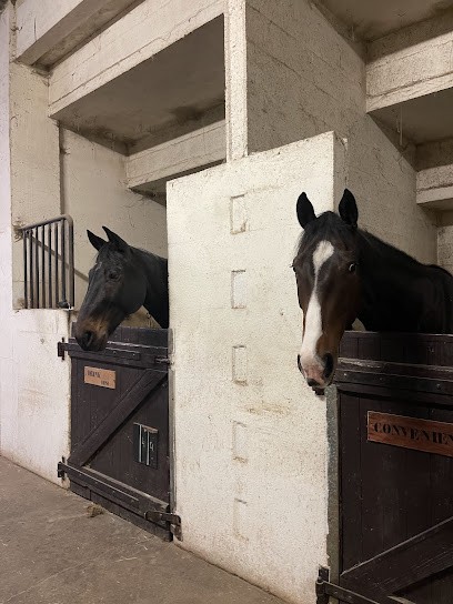 La Clairière Du Findez, Centre Equestres à Francheville