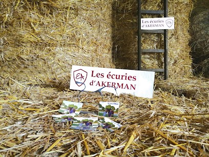 Les Ecuries d'Akerman - Pension pour chevaux Morbihan, Pension pour Chevaux à Guillac