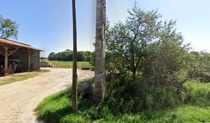 DSF Ecurie Manon Et Diogo Pinto, Centre Equestres à La Ferté-Gaucher