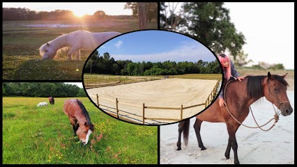 La Doudou pension (chevaux), Pension pour Chevaux à Saint-Antoine-sur-l'Isle