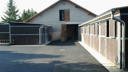 Ecurie des Amazones, Pension pour Chevaux à Henridorff