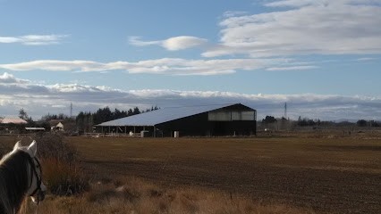 Ecuries les Mazets, Pension pour Chevaux à Saint-Brès