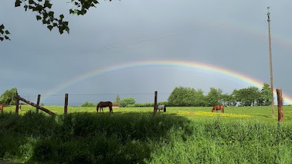 CENTRE EQUESTRE DU CHATEAU, Centre Equestres à Dangeul