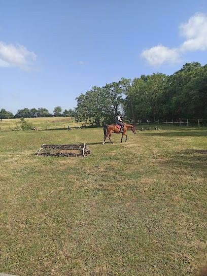 Ô Cheval, Centre Equestres à Roche