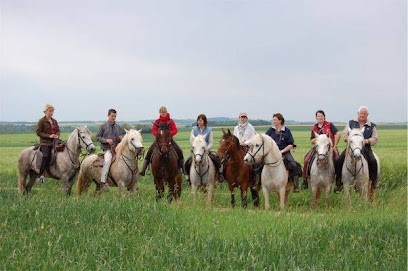 Camargue Riding Recreation En Nièvre, Centre Equestres à Cosne-Cours-sur-Loire